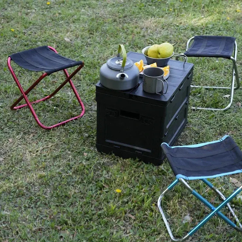 Camping chair Expedition WildPeak